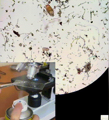 1781248185391288.gif
